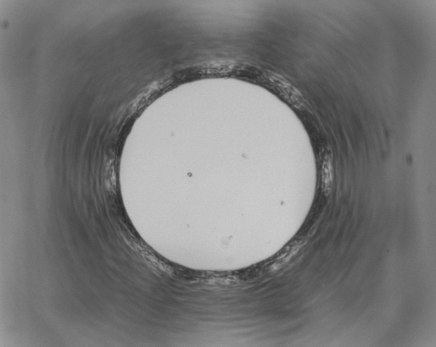 X0000064771204200603131425