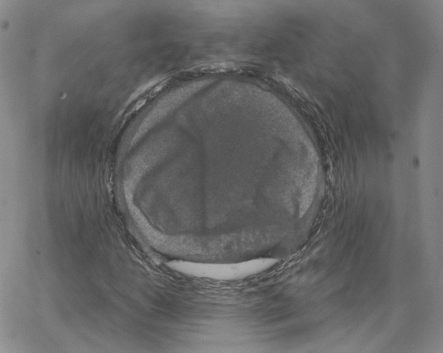 X0000064771206200603131425