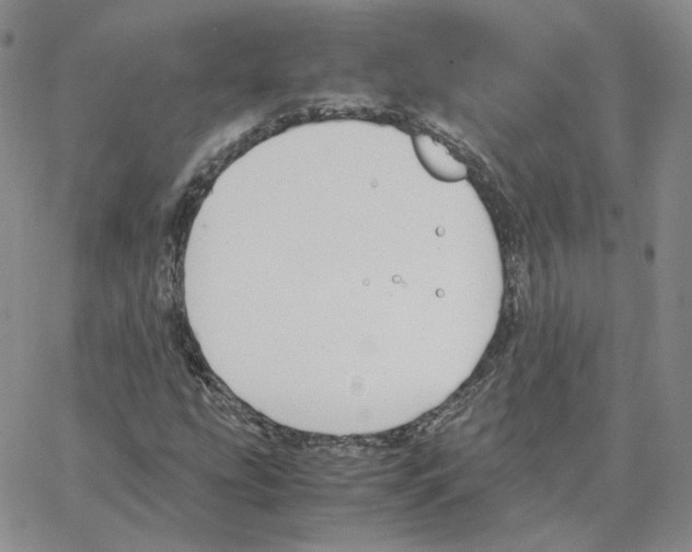 X0000064771207200603131425