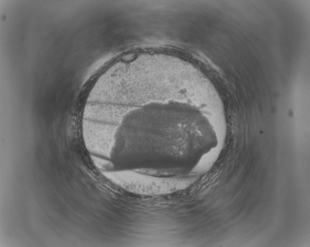 X0000064771208200603131425