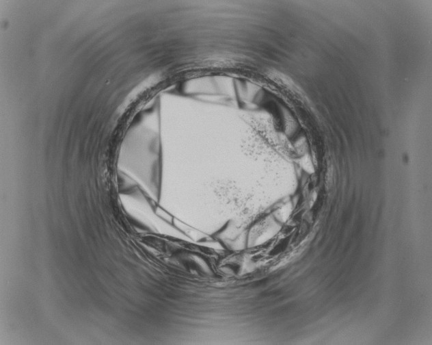 X0000064771210200603131425