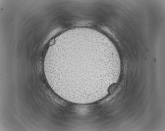 X0000064771211200603131425