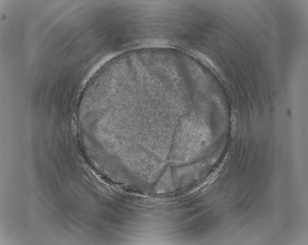 X0000064771212200603131425