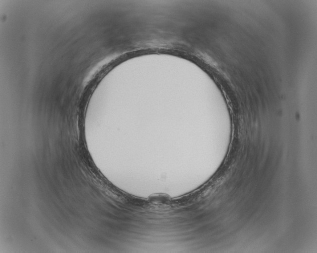 X0000064771214200603131425