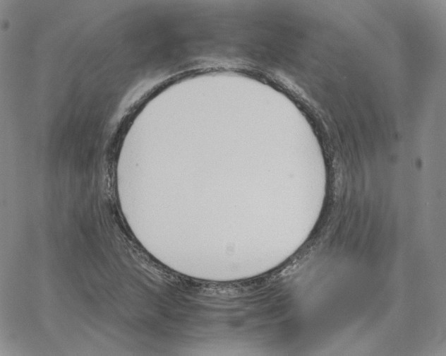 X0000064771215200603131425