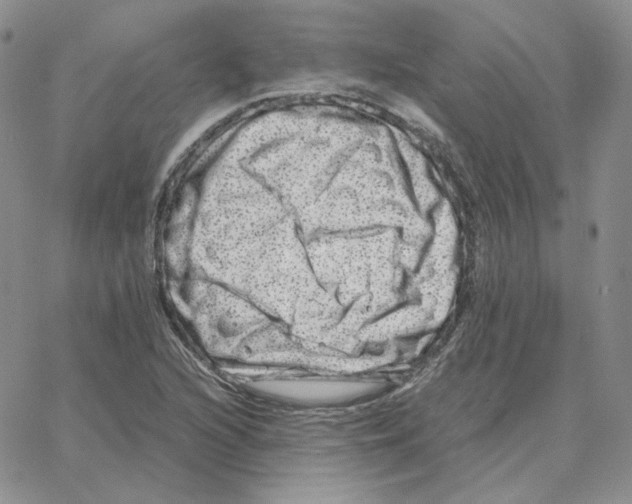 X0000064771216200603131425