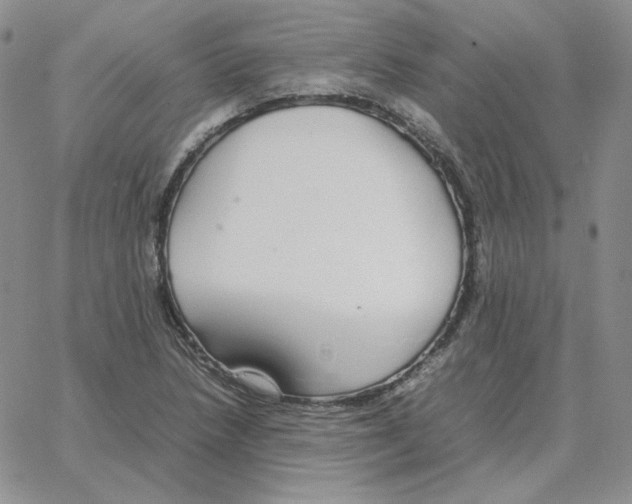 X0000064771218200603131425