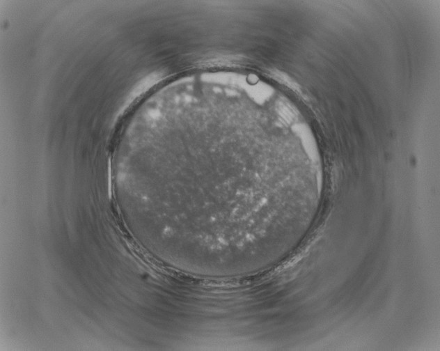 X0000064771219200603131425