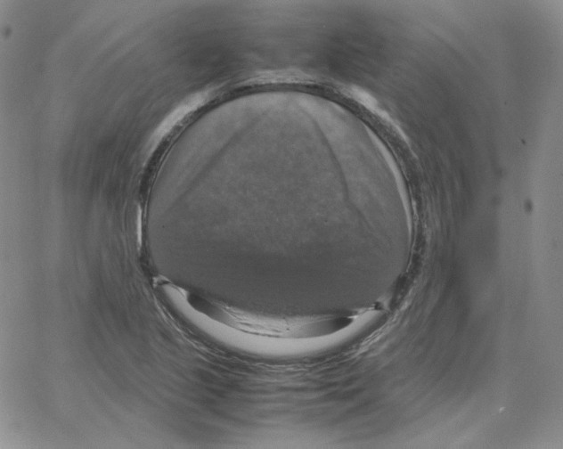 X0000064771221200603131425