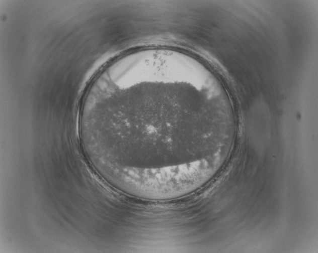 X0000064771224200603131425