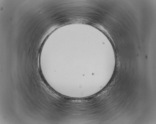 X0000064771227200603131425