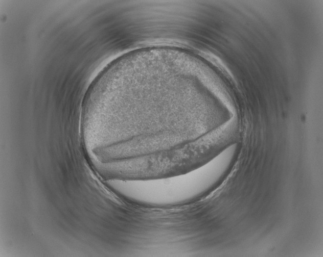 X0000064771228200603131425