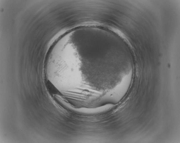 X0000064771229200603131425