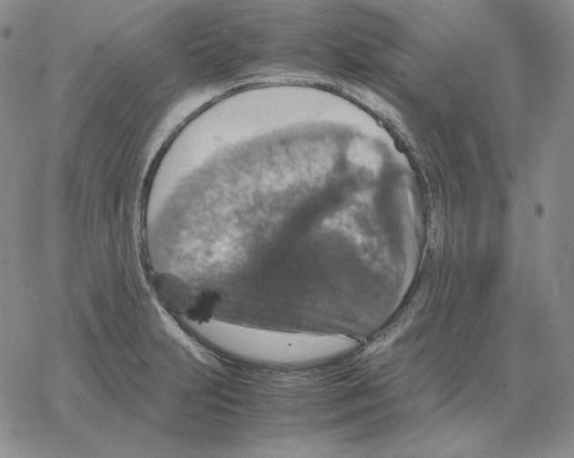 X0000064771231200603131425