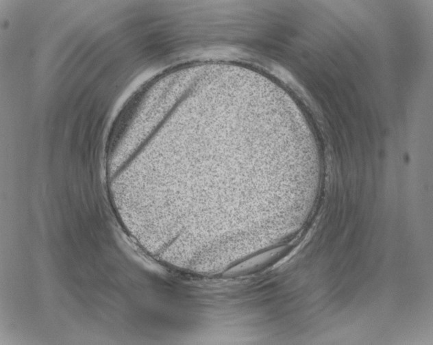 X0000064771232200603131425