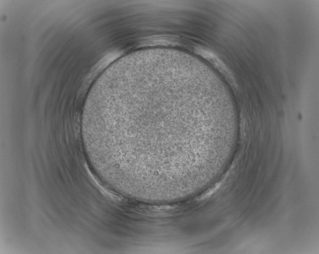 X0000064771233200603131425