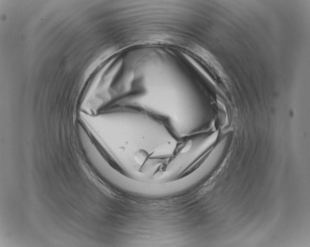 X0000064771234200603131425