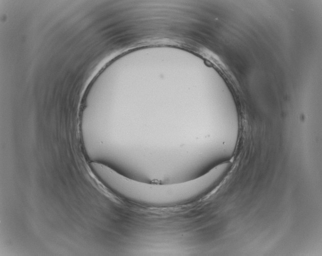 X0000064771236200603131426