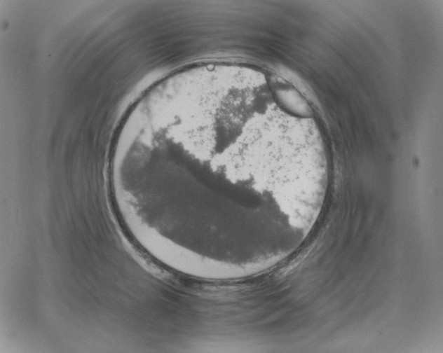 X0000064771237200603131426