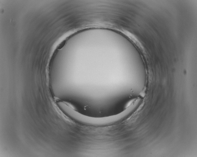 X0000064771238200603131426