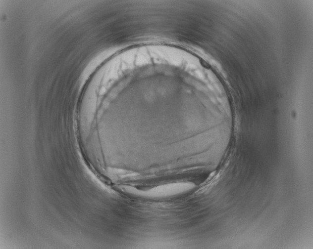 X0000064771239200603131426