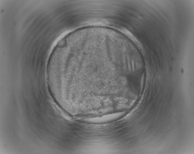 X0000064771240200603131426