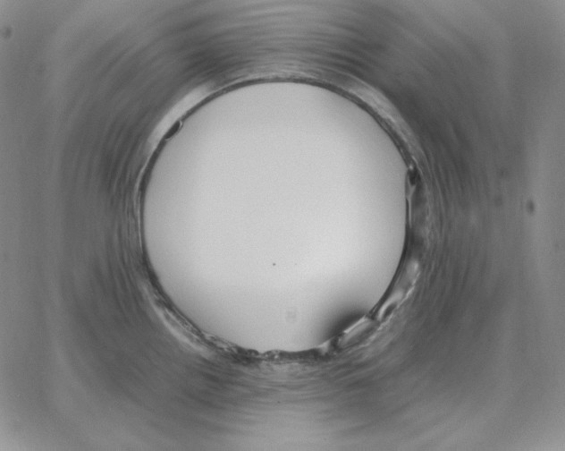 X0000064771242200603131426