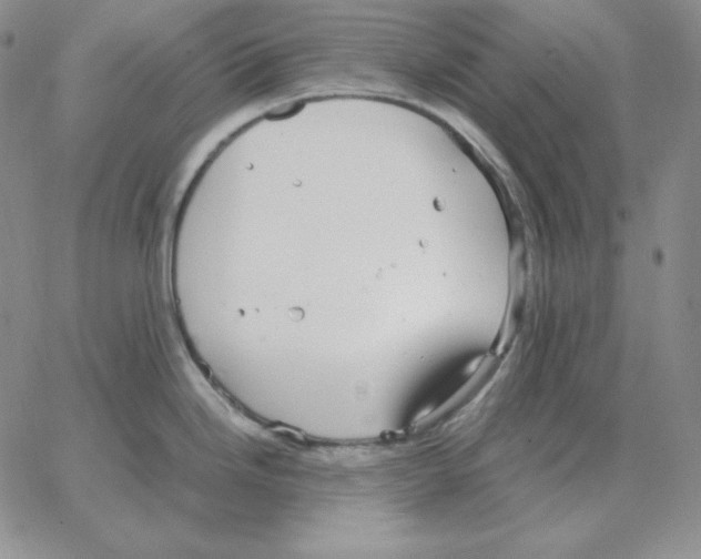 X0000064771246200603131426