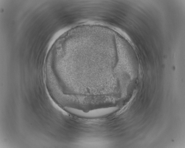 X0000064771247200603131426