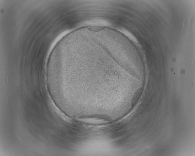 X0000064771248200603131426