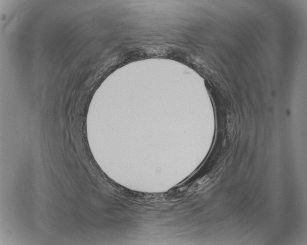 X0000064771249200603131425