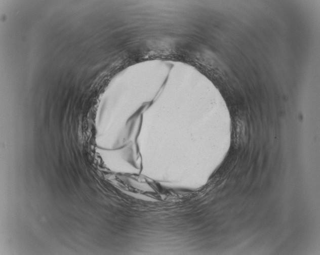 X0000064771250200603131425