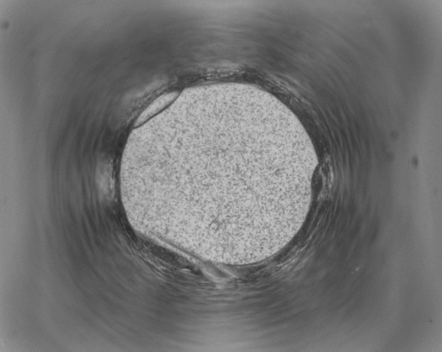 X0000064771252200603131425