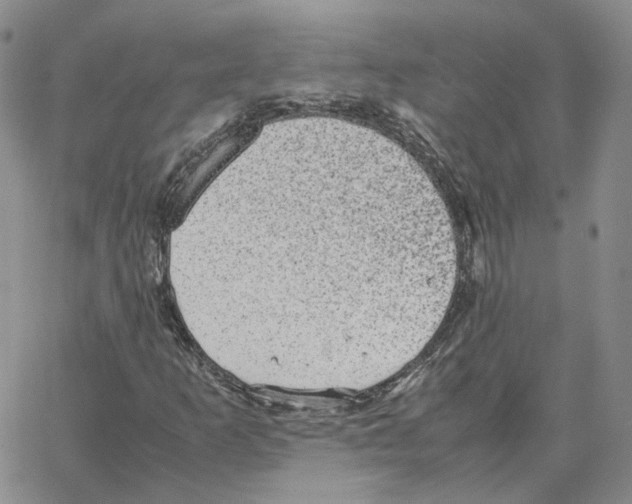 X0000064771253200603131425