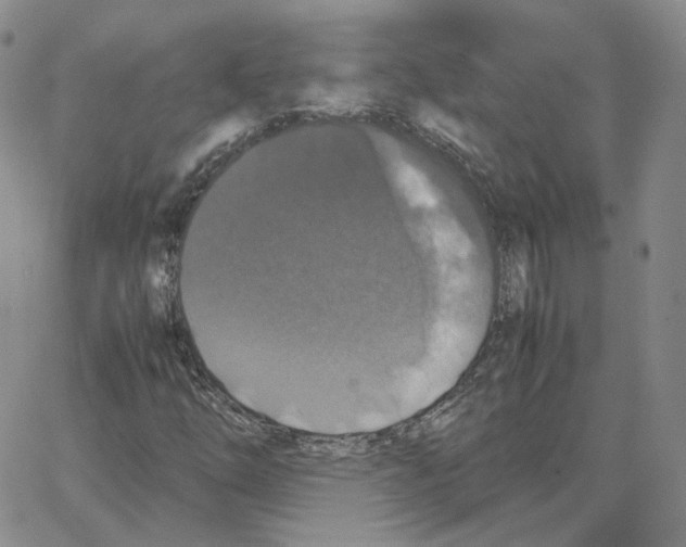 X0000064771254200603131425