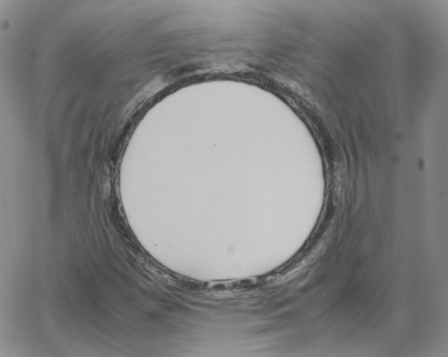 X0000064771257200603131425