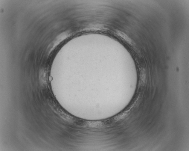 X0000064771258200603131425