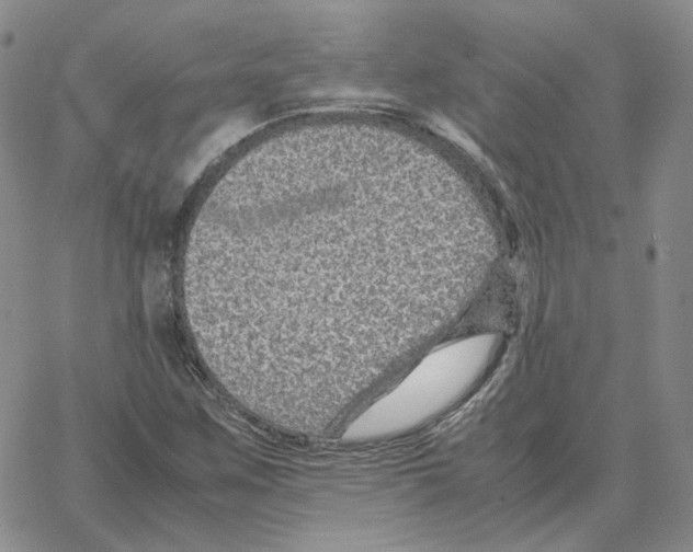 X0000064771259200603131425