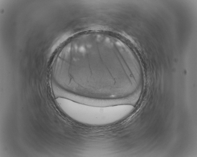 X0000064771263200603131425