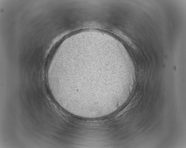 X0000064771264200603131425