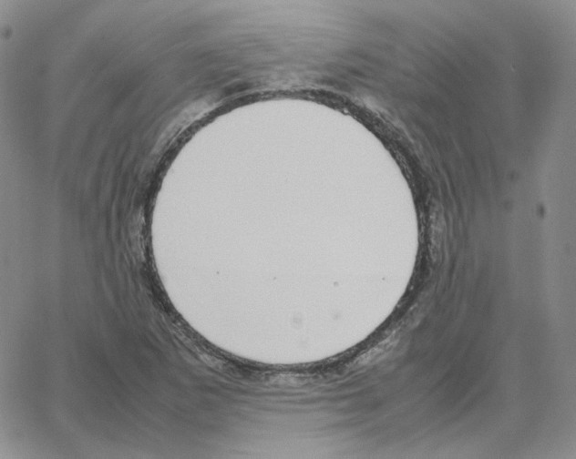 X0000064771265200603131425