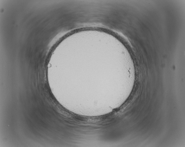 X0000064771271200603131425