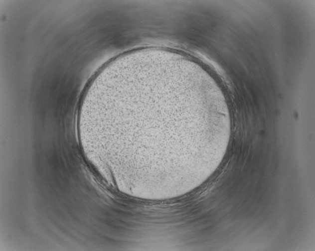 X0000064771272200603131425