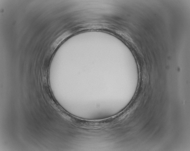 X0000064771273200603131425