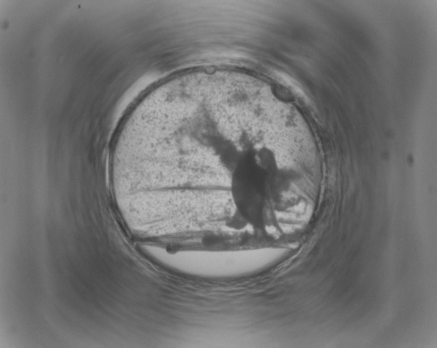 X0000064771275200603131425