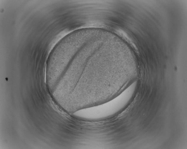 X0000064771276200603131425