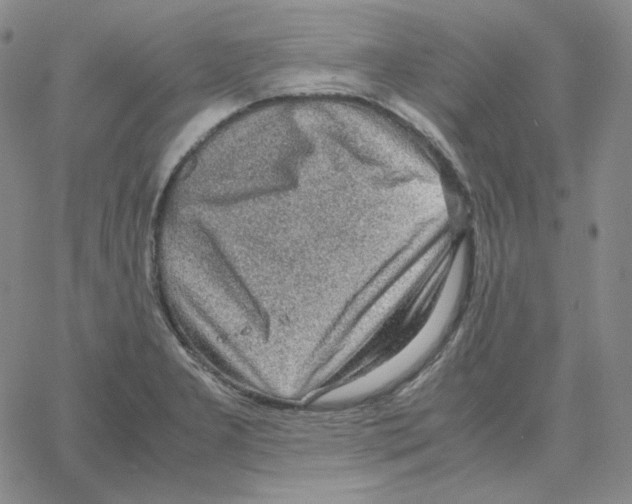 X0000064771277200603131424