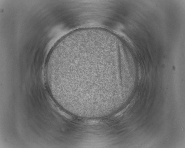 X0000064771278200603131424