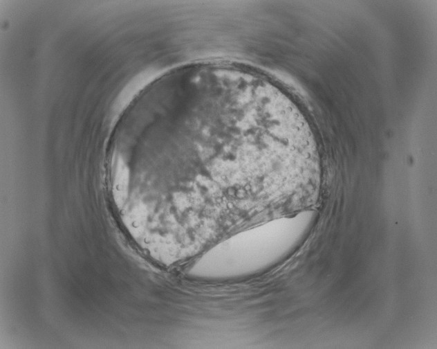 X0000064771279200603131424