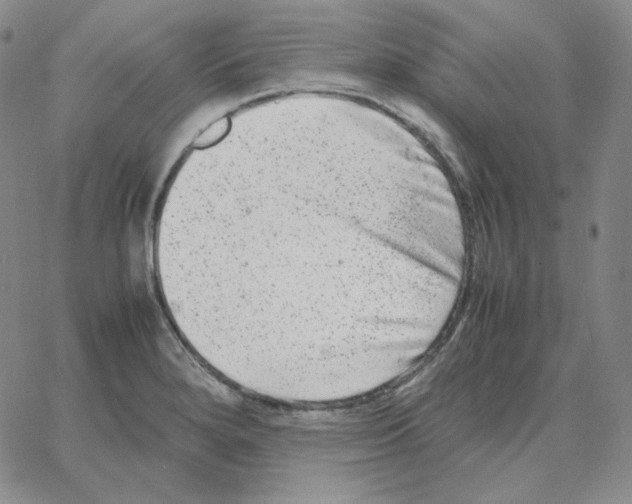 X0000064771280200603131424